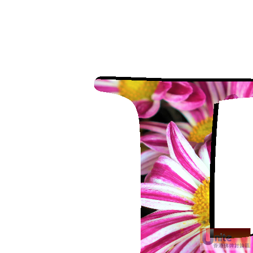 Flower_pattern_letters_E.png
