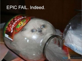 Funny-Animals-EPIC-FAIL-Indeed.jpg