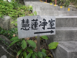 大嶼山的一天[延慶寺]=28.jpg