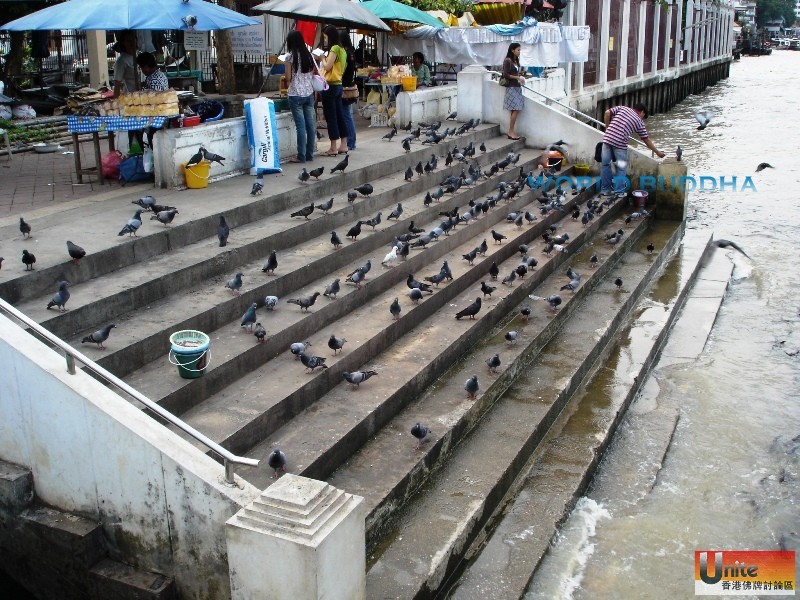 Wat Rakhang  